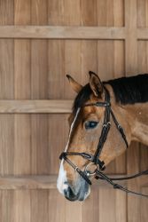 Dyon Träns Flätad Nosgrimma D