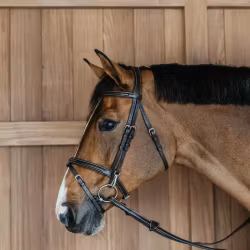 Dyon Träns med clips, slät kombinerad nosgrimma W
