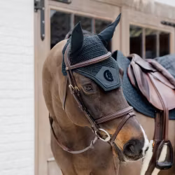 Dyon Flätad Flash Nosgrim-träns D