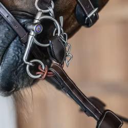 Dy'on Kort Pelham-delta