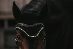 Dyon Svart Swarovski V-formad pannband N