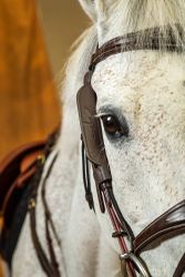 Dy'on Blinkers W