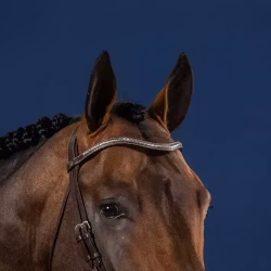Dyon Silver Clincher V-Shaped Browband U