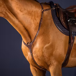 Dyon Brösta med brygga N