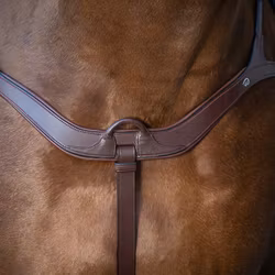 Dyon Anatomisk brösta 5-punkts N