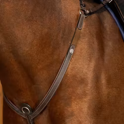 Dyon Brösta med brygga W