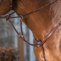 Dyon Kort martingal till brösta U