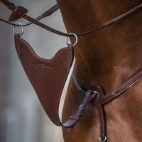 Dyon Kort martingal Bib hard N