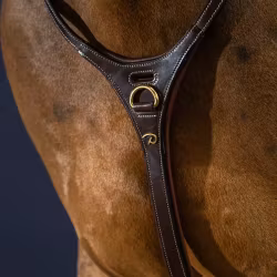 Dyon Yoke Halsrem för martingal D