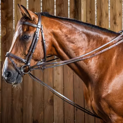 Dyón Gramantygel  Hunter 1/2 W