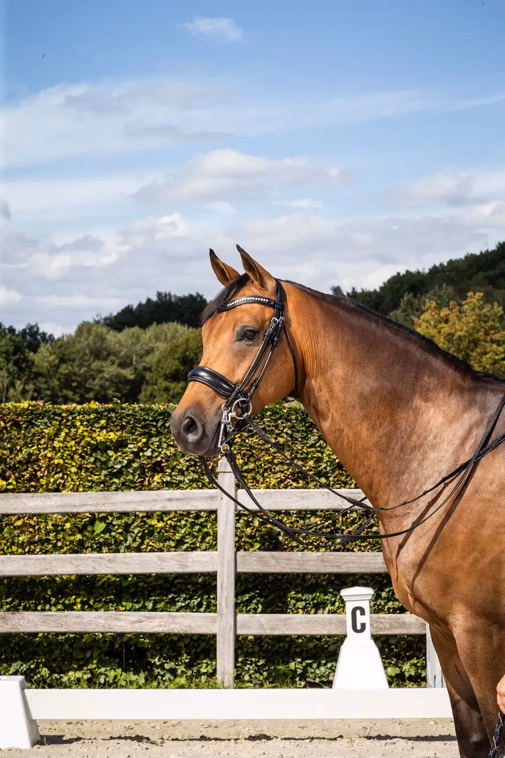 Dyon Kandar Rundsytt bred pullbacknosgrimma DR