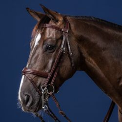 Dyon Kandar m kombinerad nosgrimma N