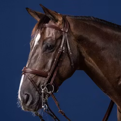 Dyon Kandar m kombinerad nosgrimma N