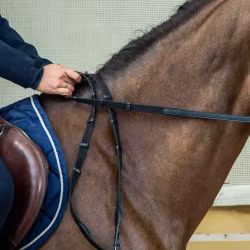 Dyon Vävribbstygel 16mm utan martingal-stop N