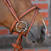 Dynamic RS Multi Ring 16 mm double jointed - Sensogan