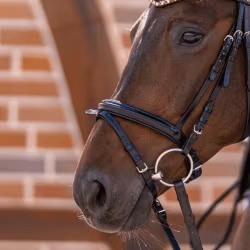 Dynamic RS Loose Ring 16 mm single jointed