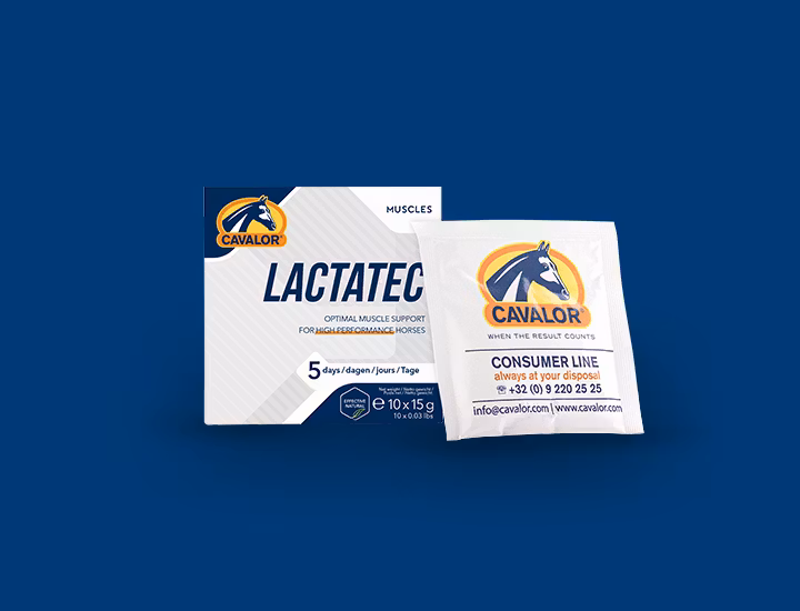 Cavalor Lactatec pulverbox