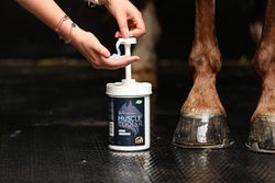 Cavalor Muscle cooler 1L
