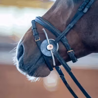 Nathe Full Cheek snaffle 20 mm with flexible Mullen Mouth