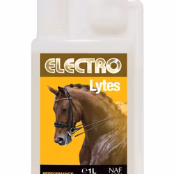 ELECTRO LYTES FLYTANDE