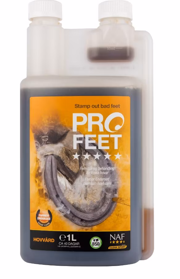 PROFEET, FLYTANDE