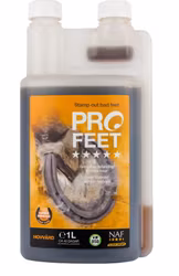 PROFEET, FLYTANDE