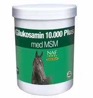 GLUKOSAMIN 10.000 PLUS MSM, PULVER