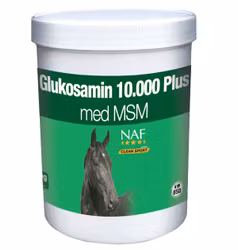 GLUKOSAMIN 10.000 PLUS MSM, PULVER