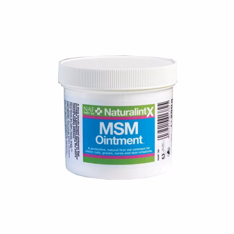 NaturalintX MSM Salva 250g