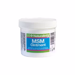 NaturalintX MSM Salva 250g