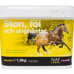 STO, FÖL & UNGHÄST, PULVER