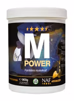 M POWER PULVER