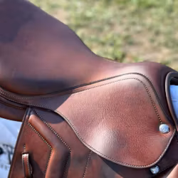 Renaissance F1 D LTPM 16/34 SC