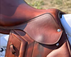 Renaissance F2 D  LIPM 17/34 MC