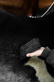 Grooming Deluxe Steel Curry Comb
