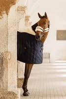 Kentucky Horsewear Stable Rug Comfort 100-300g