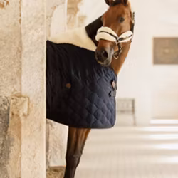 Kentucky Horsewear Stable Rug Comfort 100-300g