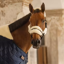 Kentucky Horsewear Stable Rug Comfort 100-300g