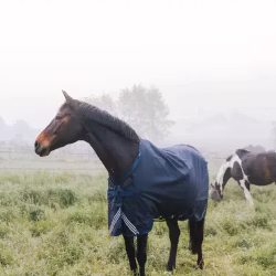 Kentucky Turnout Rug All Weather Waterproof Comfort 0-400g