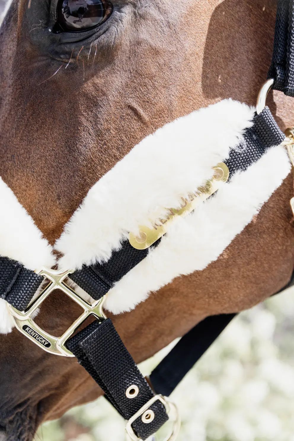 Kentucky Nylon Sheepskin Halter Soft