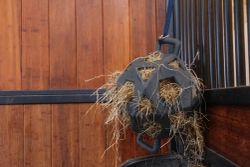Kentucky Relax Horse Play & Hay Ball