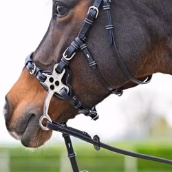 JumpIn Hackamoreträns - One Premium Collection