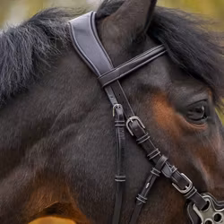 JumpIn Hackamoreträns - One Premium Collection