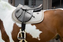 Kentucky Horsewear Saddle Pad Glitter Band Jumping