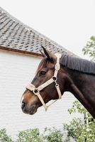 Kentucky Horsewear Teddy Fleece Halter