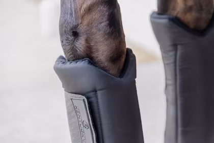 Kentucky Horsewear Stable Boots PROtect Classic Front