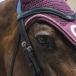 Kentucky Horsewear Fly Veil Wellington 3D Logo Rope