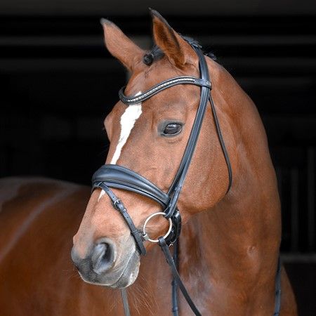 EQ Hannibal flat dressyrträns klinkers-pannband
