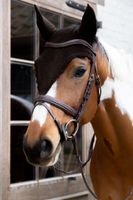 Kentucky Horsewear Fly Veil Long