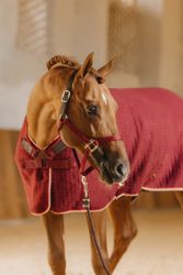 Kentucky Horsewear Cooler Rug PROtherm